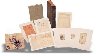 Zeichnungen von Leonardo da Vinci und seinem Umkreis - Gallerie dell’Accademia in Venedig – Giunti Editore – Gallerie dell'Accademia di Venezia / Gabinetto Disegni e Stampe (Venedig, Italien)
