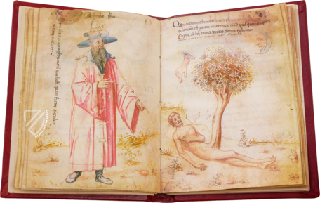 Sammlung der Alchemie – Ediciones Grial – MS Ashburnham 1166 – Biblioteca Medicea Laurenziana (Florenz, Italien)