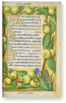 Grandes Heures der Anne de Bretagne – M. Moleiro Editor – Lat. 9474 – Bibliothèque nationale de France (Paris, Frankreich)