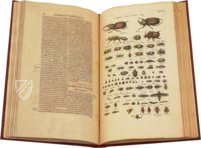 Historia Naturalis: De Insectis – Siloé, arte y bibliofilia – Privatsammlung