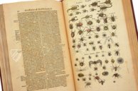 Historia Naturalis: De Insectis – Siloé, arte y bibliofilia – Privatsammlung