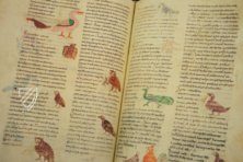 Hrabanus Maurus: De universo oder De rerum naturis – Priuli & Verlucca, editori – Cod. Casin. 132 – Archivio dell'Abbazia di Montecassino (Montecassino, Italien)