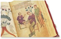 Medikamenten-Lehre Friedrichs II. – Patrimonio Ediciones – Ms. Plut. 73.16 – Biblioteca Medicea Laurenziana (Florenz, Italien)
