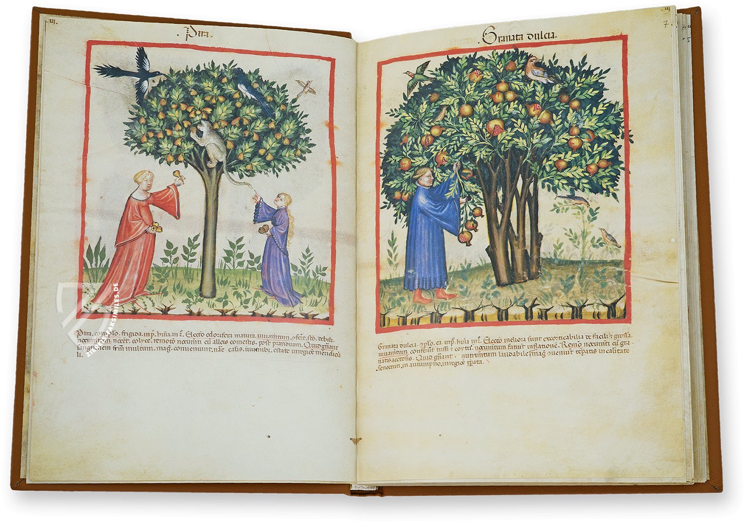 Paradiesische Bilder als Ausdruck aristokratischen Wunschdenkens (Tacuinum Sanitatis in Medicina, Lombardei (Italien) — Ende des 14. Jahrhunderts)