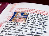 Pelpliner Gutenberg-Bibel – Orbis Pictus – Hub. 28 – Biblioteka Seminarium Duchownego (Pelplin, Polen)