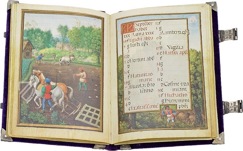 Pflügen und Aussaat des Winterroggens (links), Sammeln von Eicheln für die Schweine (rechts): Arbeiten des Monats September (Simon Benings Flämischer Kalender, Brügge, Belgien — 1520–1525)