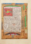 Stundenbuch von Borgia-Papst Alexander VI. – Patrimonio Ediciones – Ms. IV 480 – Bibliothèque Royale de Belgique (Brüssel, Belgien)