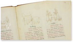 Tacuinum Sanitatis – Akademische Druck- u. Verlagsanstalt (ADEVA) – Cod. Vindob. 2396 – Österreichische Nationalbibliothek (Wien, Österreich)