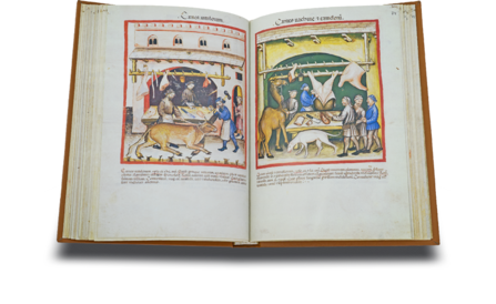 Tacuinum Sanitatis in Medicina Faksimile