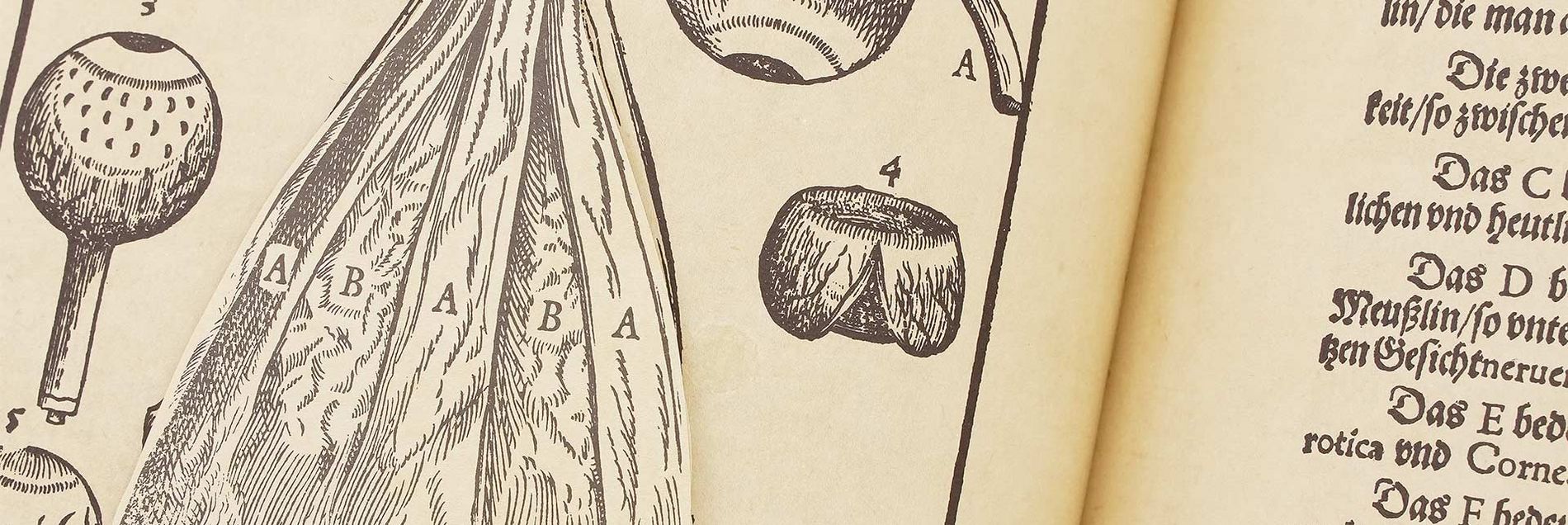 <i>“92 faszinierende, teils mehrschichtige Holzschnitte im ältesten umfassenden deutschen Lehrbuch zur Augenheilkunde”</i>
