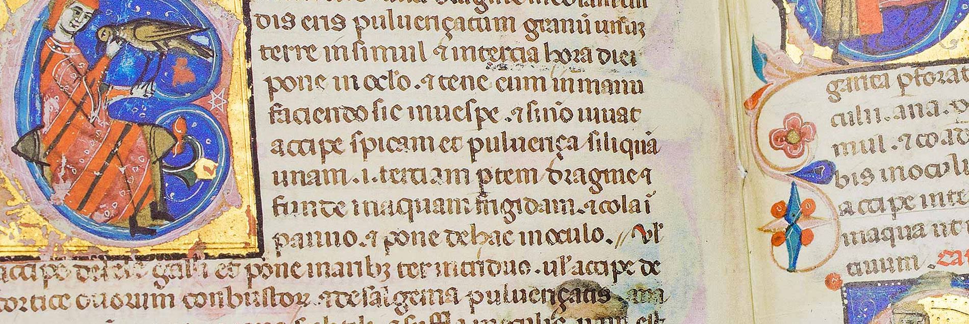 <i>"Die Vorlage für Kaiser Friedrichs II. berühmtes Falkenbuch"</i>