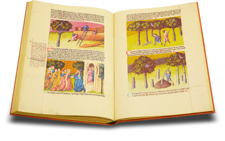 Liber de natura rerum - Codex C-67 Faksimile