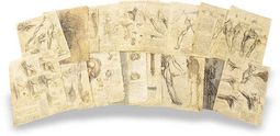 Korpus der anatomischen Studien – Collezione Apocrifa Da Vinci – Royal Library at Windsor Castle (Windsor, Vereinigtes Königreich)