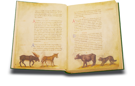 Tierbuch des Petrus Candidus Faksimile