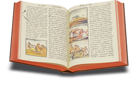 Codex Florentinus Faksimile