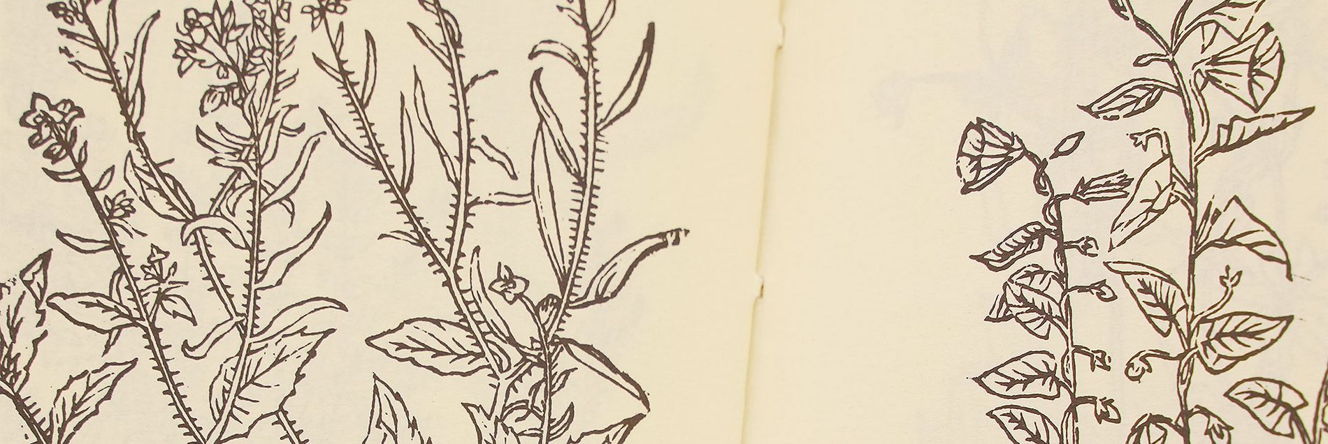 <i>"Von der spanischen Inquisition zensierte Wissenschaft"</i>