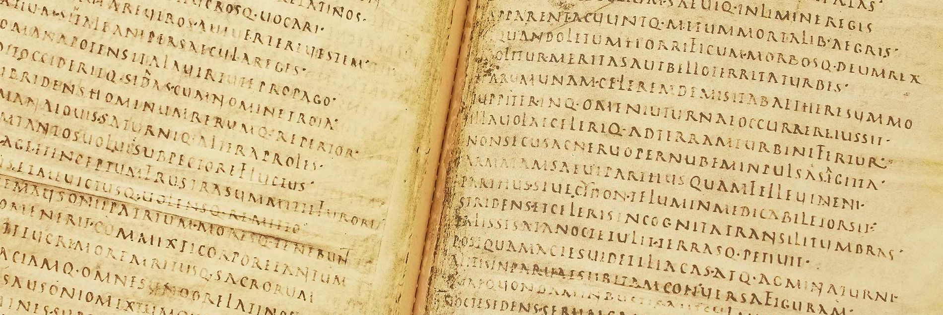 <i>“Vergils Hauptwerke versehen mit den gelehrten Anmerkungen eines Humanisten”</i>