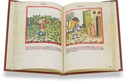 Theatrum Sanitatis – M. Moleiro Editor – Ms. 4182 – Biblioteca Casanatense (Rom, Italien)