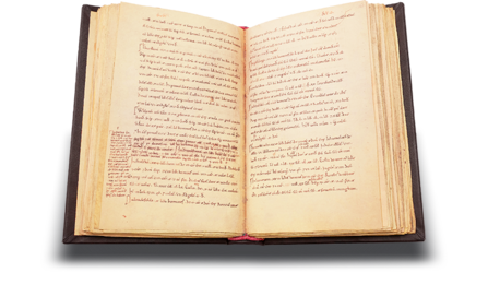 Little Domesday Book Faksimile
