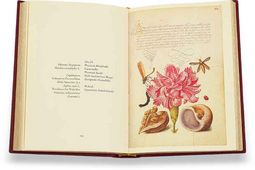 Kalligraphiebuch – Faksimile Verlag – Ms. 20 (86. MV. 527) – J. Paul Getty Museum (Los Angeles, USA)