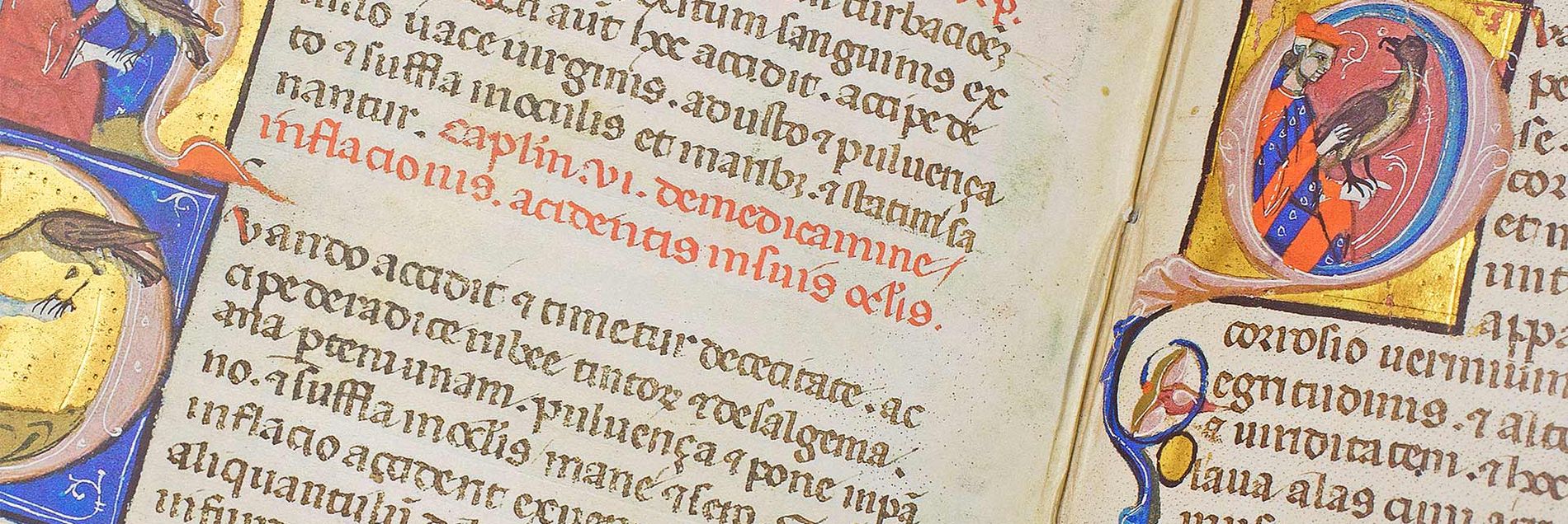 <i>"Die Vorlage für Kaiser Friedrichs II. berühmtes Falkenbuch"</i>