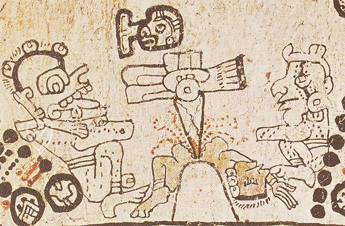 Codex Tro-Cortesianus (Codex Madrid) – Testimonio Compañía Editorial – Inventario: 70300 – Museo de América (Madrid, Spanien)