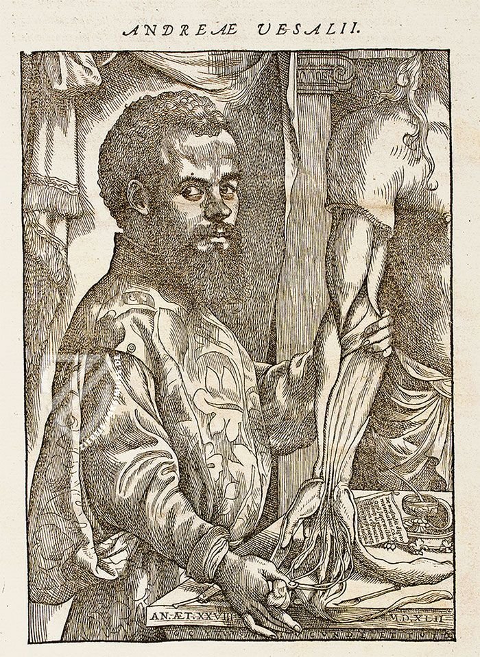 De Humani Corporis Fabrica - Andreas Vesalius – Orbis Pictus – Biblioteka Uniwersytecka Mikołaj Kopernik w Toruniu (Toruń, Polen)