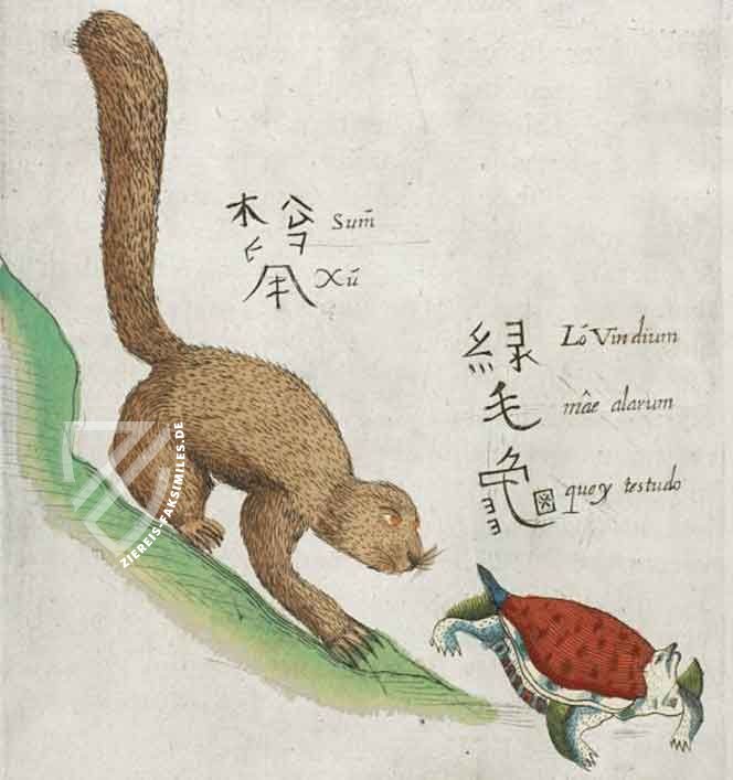 Flora Sinensis