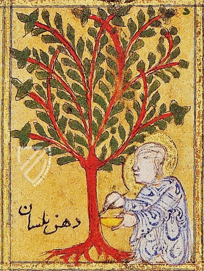 Kitâb al-Diryâq (Thériaque de Paris) – Aboca Museum – Ms. Arabe 2964 – Bibliothèque nationale de France (Paris, Frankreich)