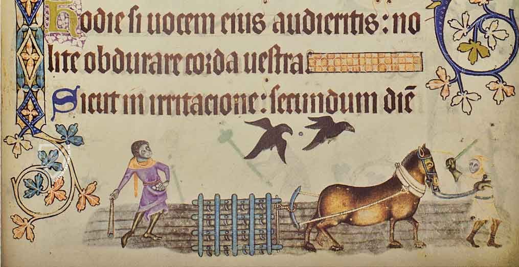 Luttrell Psalter