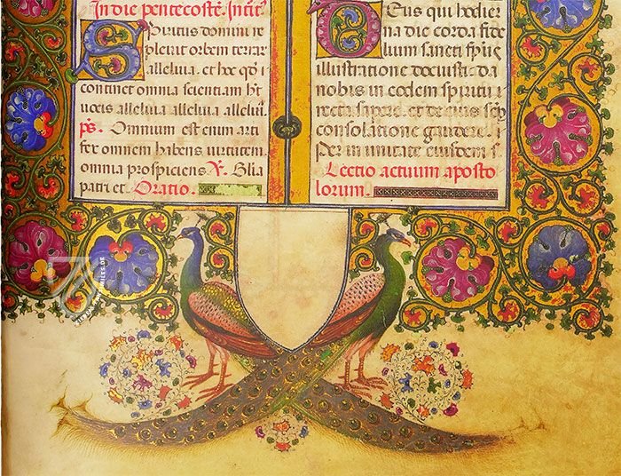 Messale di Barbara del Brandeburgo (Vorzugsausgabe)