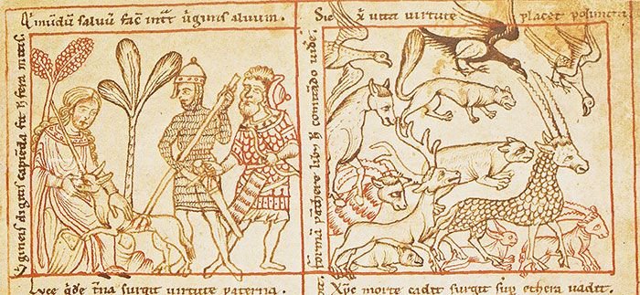 Das Reiner Musterbuch (Leder-Ausgabe)