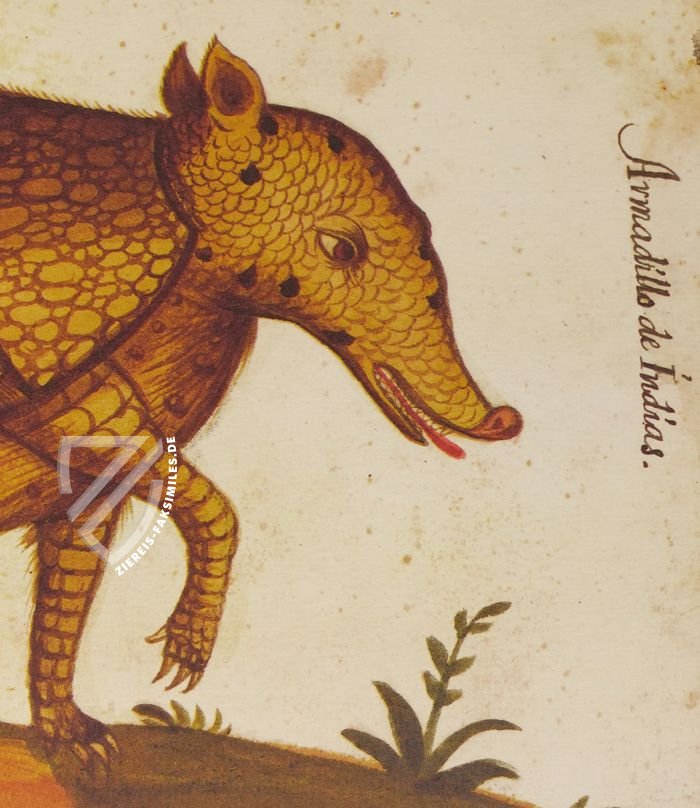 Atlas de historia natural de Felipe II (Códice Pomar)
