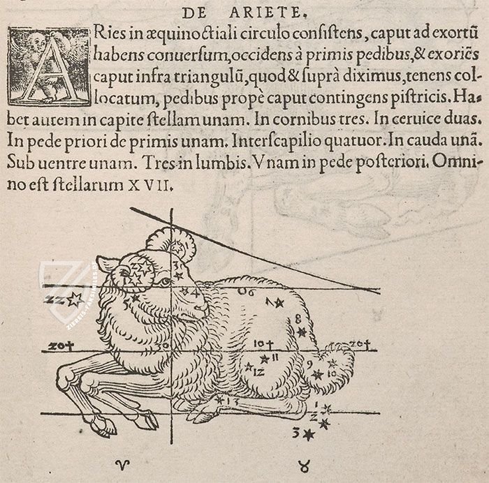 Nicolaus Copernicus - De revolutionibus orbium coelestium libri VI – Orbis Pictus – Pol.6 III.142 – Biblioteka Uniwersytecka Mikołaj Kopernik w Toruniu (Toruń, Polen)