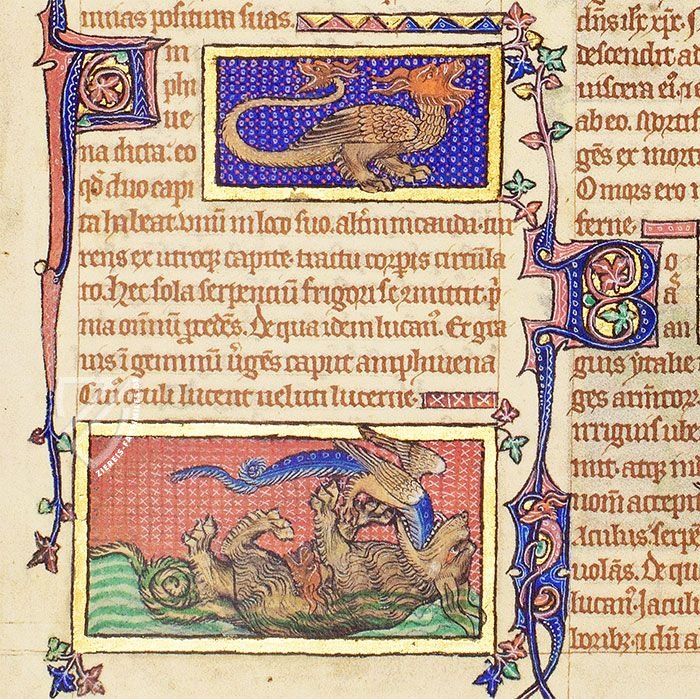 Bestiarium aus Peterborough