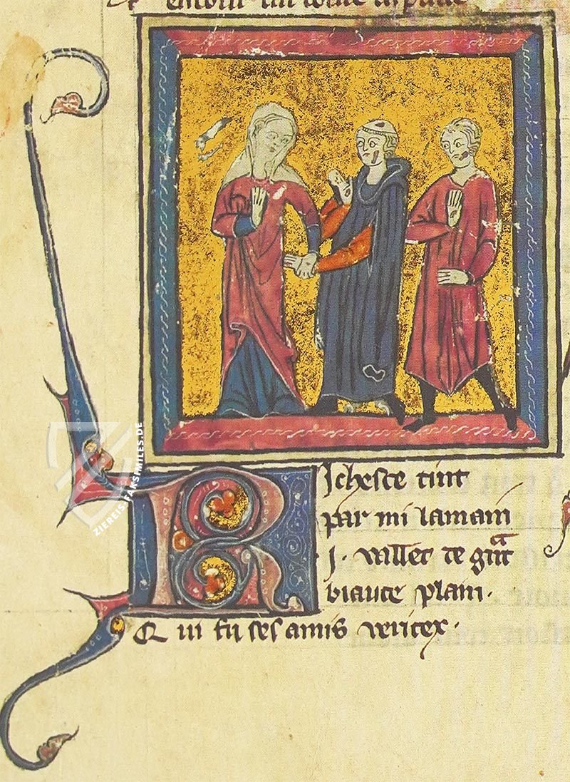 Rosenroman des Berthaud d’Achy (Leder-Ausgabe)