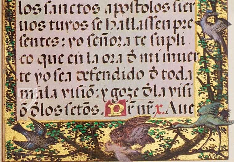 Rosario de Juana La Loca