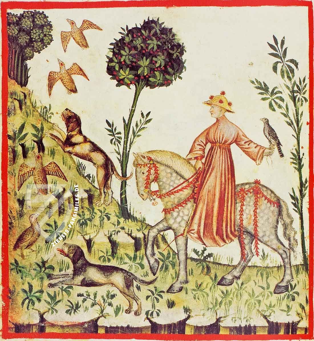 Theatrum Sanitatis
