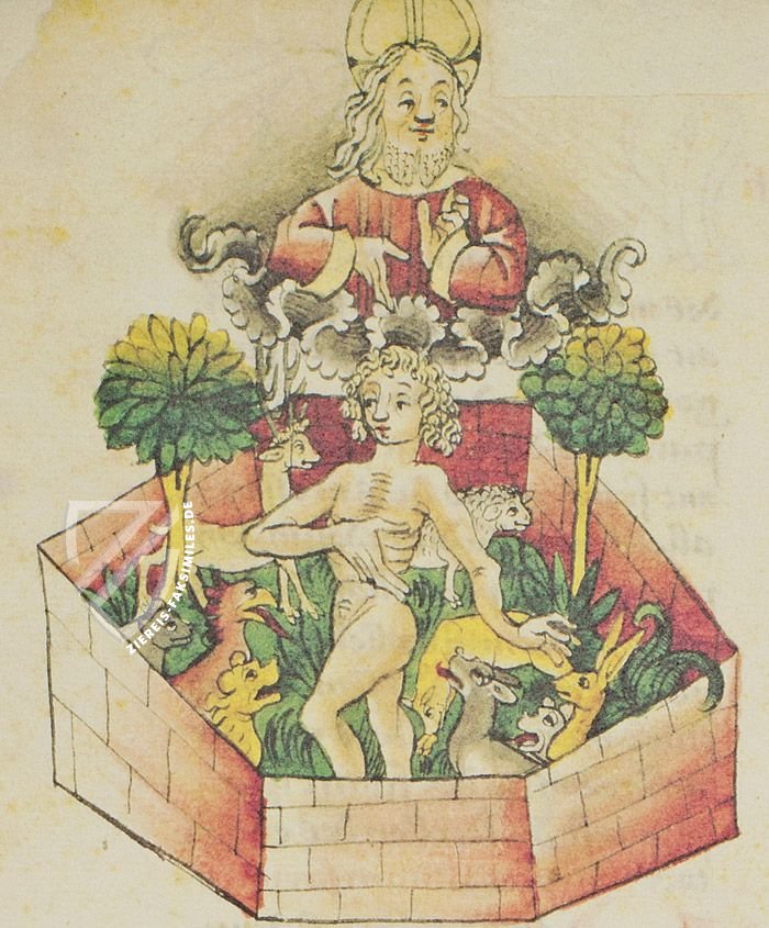 Die Vorauer Volksbibel (Spezielle Ausgabe in nur einem Band)