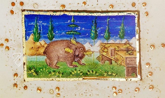 Il Fior di Virtù