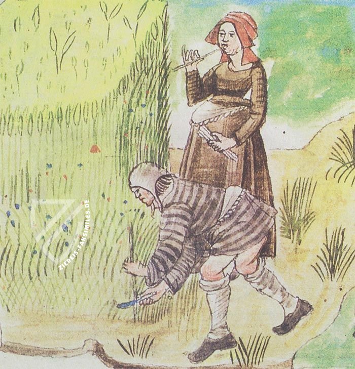 Les Amours de Réné d'Anjou (Normalausgabe)