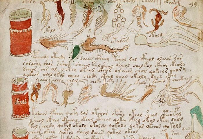 Voynich-Manuskript