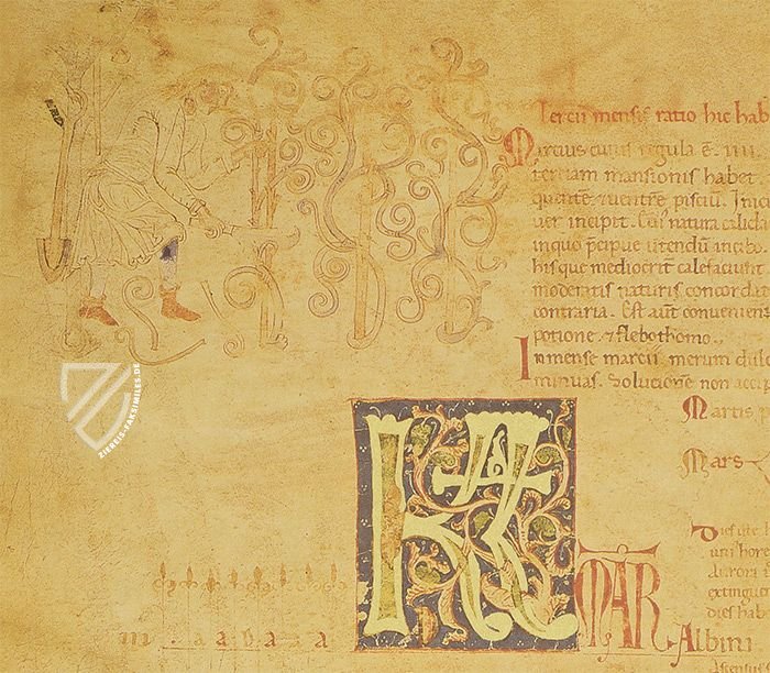 Liber Magistri – Tip.Le.Co – Cod. 65 – Archivio Capitolare della Cattedrale (Piacenza, Italien)