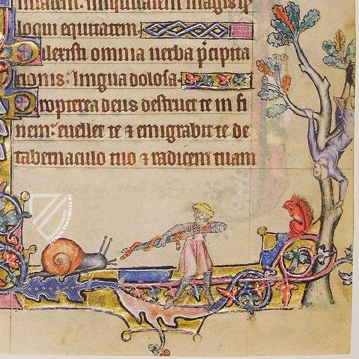 Macclesfield-Psalter – Thames and Hudson – MS 1–2005 – Fitzwilliam Museum (Cambridge, Vereinigtes Königreich)