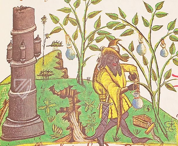 Buch der einfachen Heilmittel - Codex Bruxellensis â De Schutter â Codex Bruxellensis IV. 1024 â Bibliothèque Royale de Belgique (Bruxelles, Belgium) Buch der einfachen Heilmittel - Codex Bruxellensis â De Schutter â Codex Bruxellensis IV. 1024 â Bibliothèque Royale de Belgique (Bruxelles, Belgium)