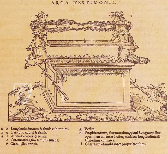 Bibel des Heiligen Johannes von Ribera - 1540 – Ajuntament de Valencia – V-18 – Biblioteca de San Juan de Ribera del Real Colegio-Seminario de Corpus Christi (Valencia, Spanien) Bibel des Heiligen Johannes von Ribera - 1540 – Ajuntament de Valencia – V-18 – Biblioteca de San Juan de Ribera del Real Colegio-Seminario de Corpus Christi (Valencia, Spanien)