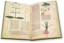 Abhandlung über Heilpflanzen - Egerton 747 – British Library – Egerton 747 – British Library (London, Vereinigtes Königreich)