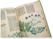 Abhandlung über Heilpflanzen - Egerton 747 – British Library – Egerton 747 – British Library (London, Vereinigtes Königreich)