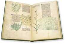 Abhandlung über Heilpflanzen - Egerton 747 – British Library – MS Egerton 747 – British Library (London, Vereinigtes Königreich)
