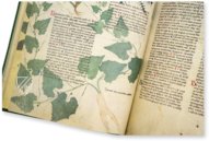 Abhandlung über Heilpflanzen - Egerton 747 – The Folio Society – MS Egerton 747 – British Library (London, Vereinigtes Königreich)